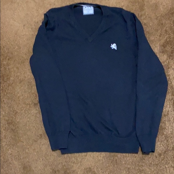 Express V neck sweater. - Picture 1 of 7